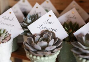 Wedding Place Cards: Succulents